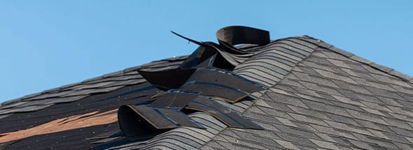 roof repairs for the columbia illinois area